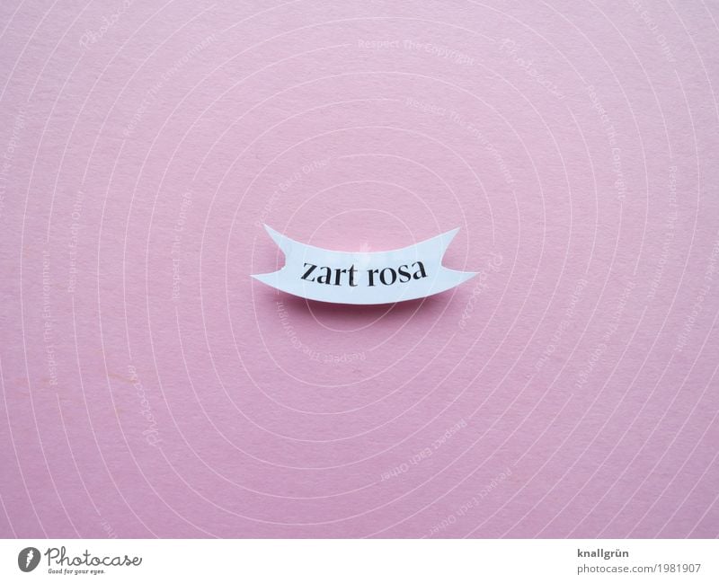 zart rosa Schriftzeichen Schilder & Markierungen Kommunizieren weiß Gefühle Pastellton Farbfoto Studioaufnahme Menschenleer Textfreiraum links