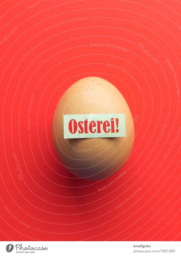 Osterei! Lebensmittel Ei Ernährung Frühstück Bioprodukte Schriftzeichen Schilder & Markierungen Kommunizieren rund braun rot weiß Fröhlichkeit Frühlingsgefühle