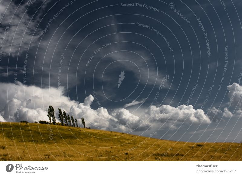 McPom Ferien & Urlaub & Reisen Tourismus Ferne Freiheit Sommerurlaub Natur Landschaft Erde Luft Himmel Wolken Schönes Wetter Wind Baum Feld Hügel groß Wärme