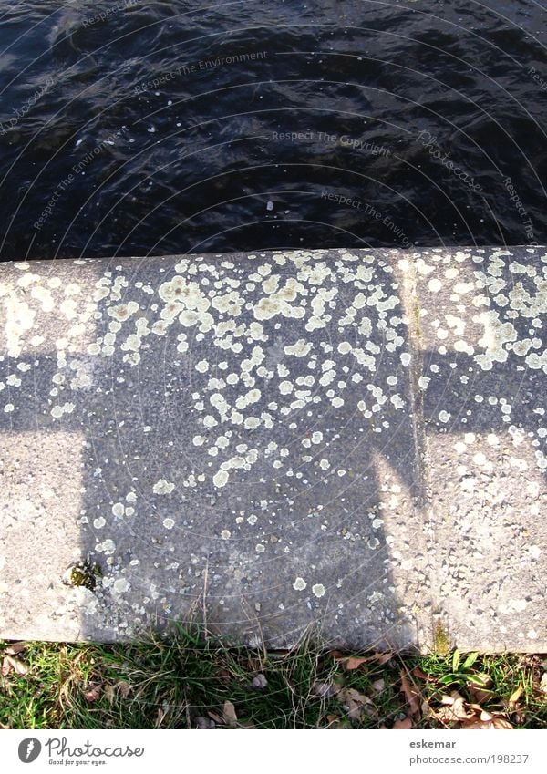 Ufer Wasser Wellen Küste Flussufer Symmetrie Spree Spreeufer Hintergrund Menschenleer Punkt Muster gepunktet abstrakt Farbfoto Außenaufnahme Strukturen & Formen