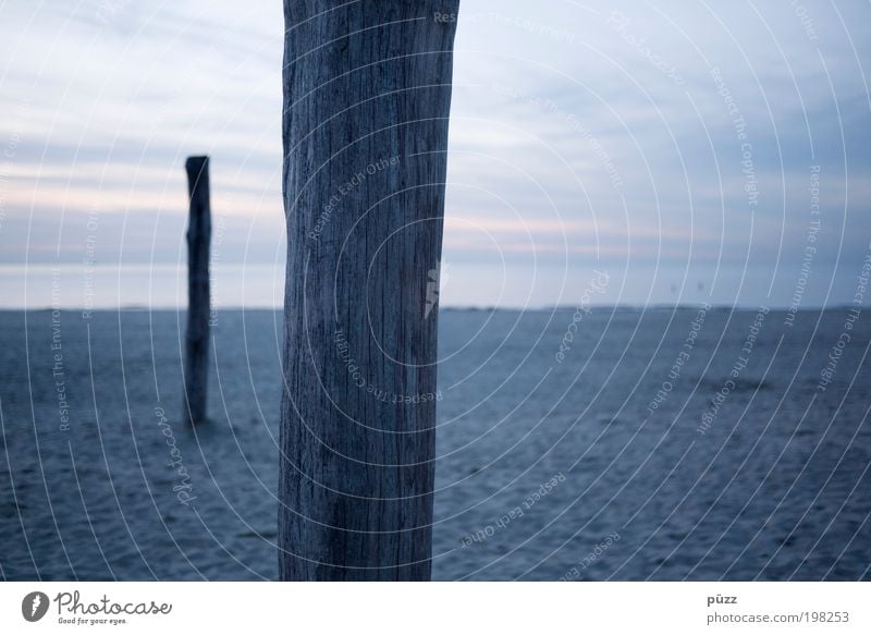 Pfähle Ferne Freiheit Strand Meer Landschaft Sand Himmel Horizont Küste Nordsee Holz dunkel nah trist blau grau Niederlande Nordseeküste Nordseestrand Pfosten