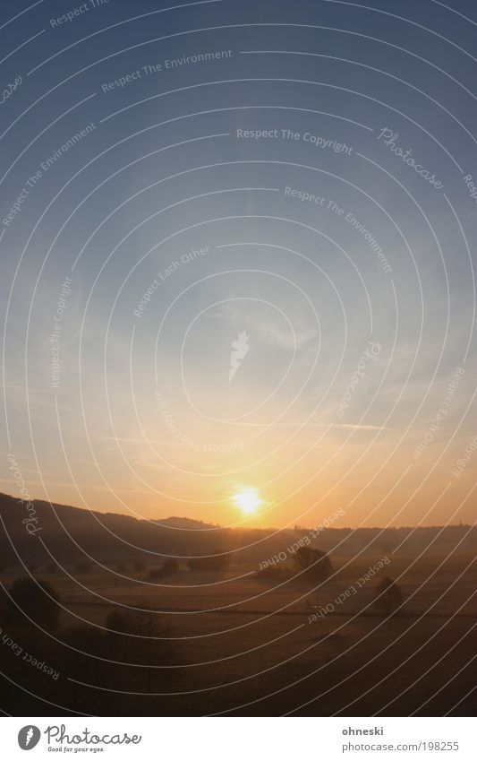 Ruhrtal Umwelt Natur Landschaft Pflanze Feuer Luft Himmel Sonne Sonnenaufgang Sonnenuntergang Sonnenlicht Wetter Schönes Wetter Baum Sträucher Feld Hügel