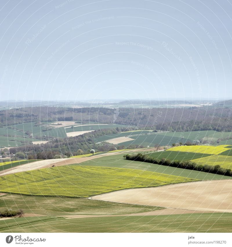 Badnerland Natur Landschaft Himmel Schönes Wetter Pflanze Baum Nutzpflanze Wiese Feld Wald Hügel Unendlichkeit blau gelb grün Aussicht Farbfoto Außenaufnahme