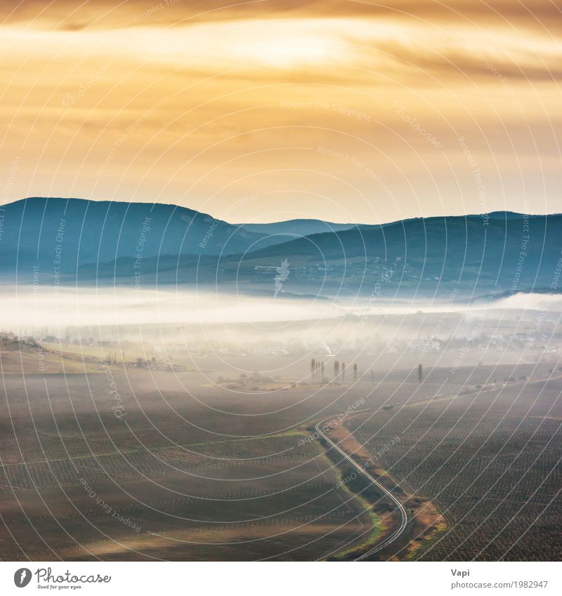 Misty Straße durch Felder Ferien & Urlaub & Reisen Ausflug Abenteuer Sommer Sonne Berge u. Gebirge Umwelt Natur Landschaft Himmel Horizont Sonnenaufgang