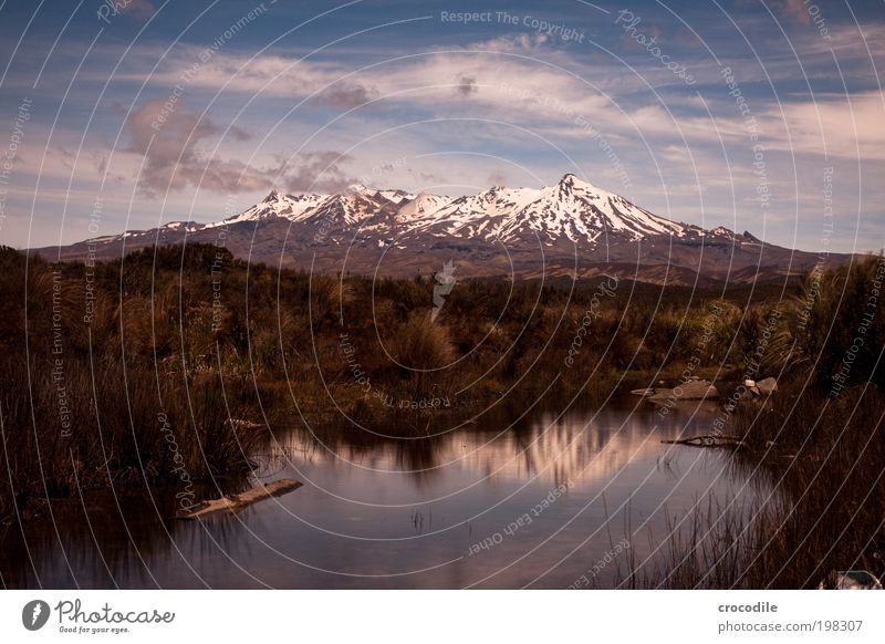 New Zealand XXXV Umwelt Natur Landschaft Urelemente Erde Feuer Himmel Wolken Sonnenlicht Sommer Schönes Wetter Sträucher Wildpflanze Felsen Berge u. Gebirge