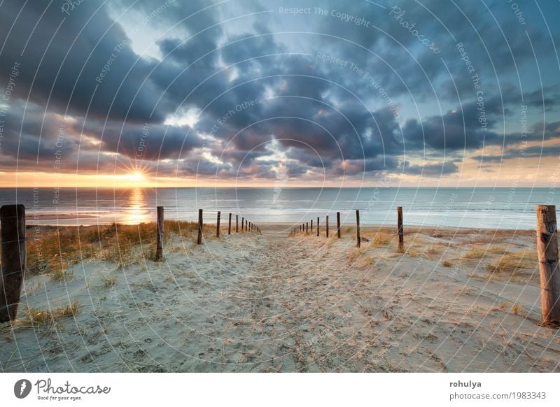 Weg zum Sand Meer Strand bei Sonnenuntergang Ferien & Urlaub & Reisen Natur Landschaft Horizont Sonnenaufgang Sonnenlicht Sommer Wärme Küste Nordsee Straße