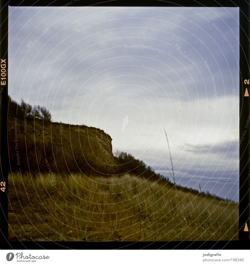 Küste Umwelt Natur Landschaft Pflanze Himmel Klima Gras Ostsee Meer dunkel natürlich Stimmung Scham Ahrenshoop Darß Steilküste Hohes Ufer Dia Farbfoto