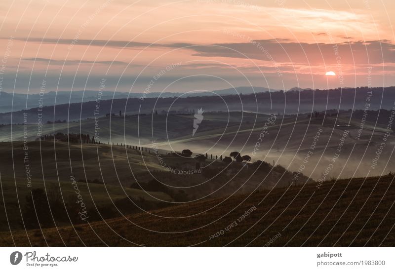 Early Birds harmonisch Wohlgefühl Sinnesorgane Erholung ruhig Ferien & Urlaub & Reisen Tourismus Ausflug Abenteuer Ferne Freiheit Umwelt Natur Landschaft Himmel