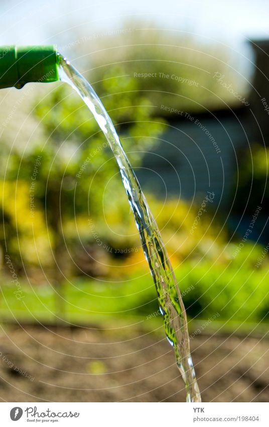 ... und mit reichem, vollem Schwalle auf dem Beete sich ergieße. Umwelt Natur Pflanze Erde Wasser Frühling Wetter Schönes Wetter Wärme Dürre Baum Garten dreckig