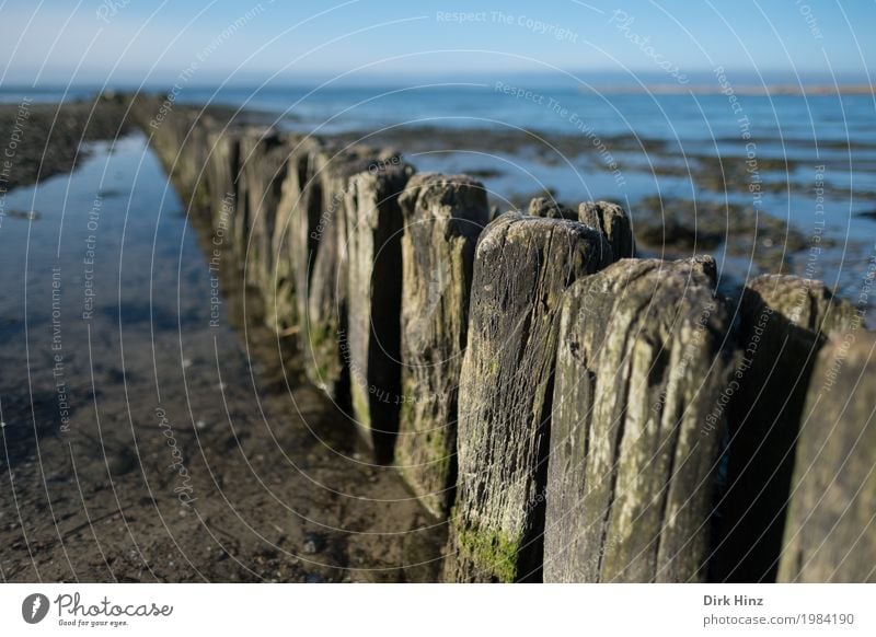 Buhnen bei Laboe / Kiel Ferien & Urlaub & Reisen Tourismus Ferne Sommer Sommerurlaub Strand Meer Umwelt Natur Landschaft Küste Ostsee maritim blau Schutz