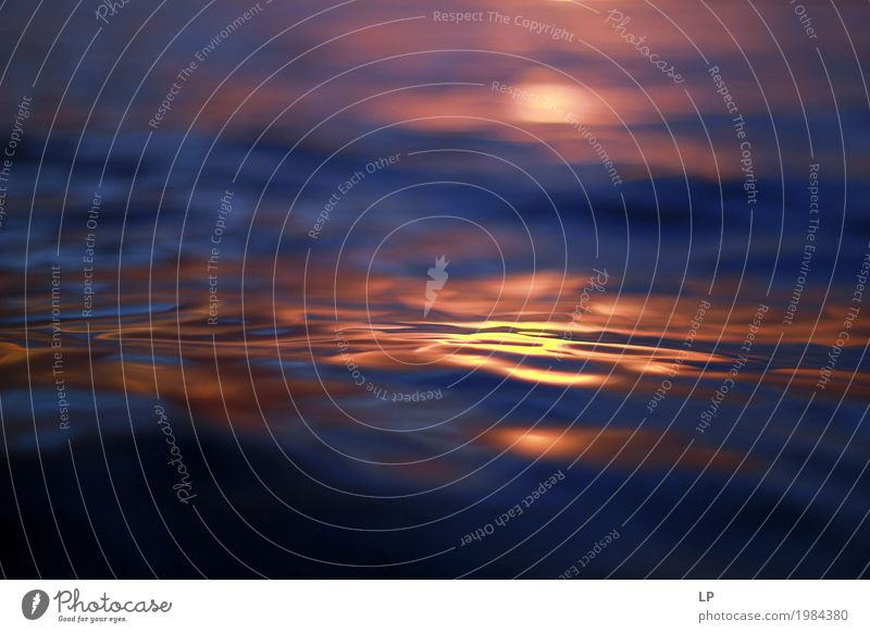 Sonnenuntergang auf der Meeresoberfläche Lifestyle Wellness Leben harmonisch Wohlgefühl Zufriedenheit Sinnesorgane Erholung ruhig Ferien & Urlaub & Reisen