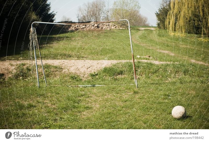 DAS RUNDE MUSS INS ECKIGE Freizeit & Hobby Spielen Fußball Umwelt Natur Landschaft Himmel Horizont Schönes Wetter Pflanze Baum Blume Gras Garten Sport