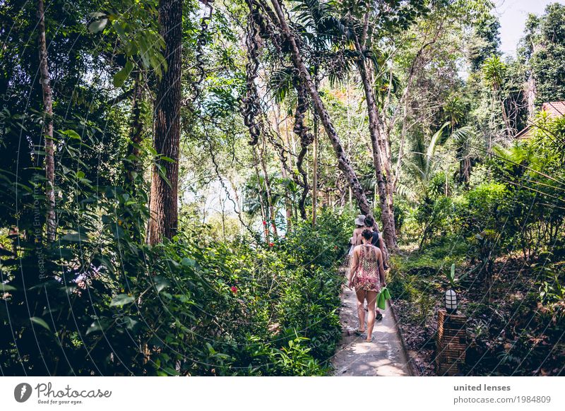 FF# Pfad im Urwald Umwelt Natur Klima Klimawandel Garten Park Wald ästhetisch Urwald Baumweg grün Thailand Wege & Pfade Fußweg Pfadfinder Abenteuer