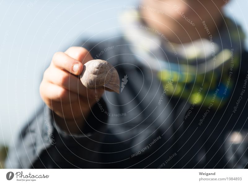 Outdoor-Spezialist Kindererziehung Kindergarten Schulkind Hand Schnecke 1 Tier beobachten blau Freizeit & Hobby Gelassenheit Grundschule Außenaufnahme Kindheit