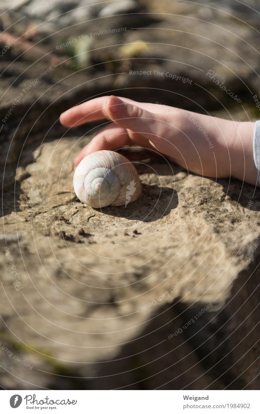 rundherum Kind Kleinkind Hand Schnecke 1 Tier berühren schön Mitgefühl friedlich Güte Selbstlosigkeit Menschlichkeit Solidarität trösten dankbar Verantwortung