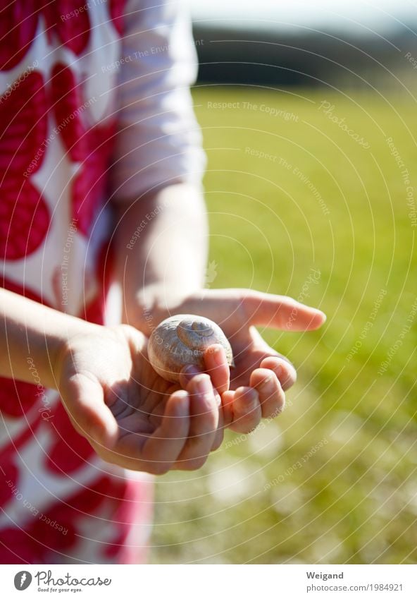 Schneckenhalter harmonisch Bildung Kindergarten lernen Mensch feminin Kleinkind Mädchen 1 3-8 Jahre Kindheit Tier beobachten Freundlichkeit Gesundheit