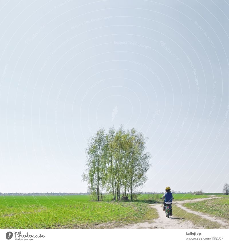 maibaum Freizeit & Hobby Fahrradfahren Kindererziehung Junge Kindheit Leben 1 Mensch 3-8 Jahre Umwelt Natur Landschaft Erde Luft Wolkenloser Himmel