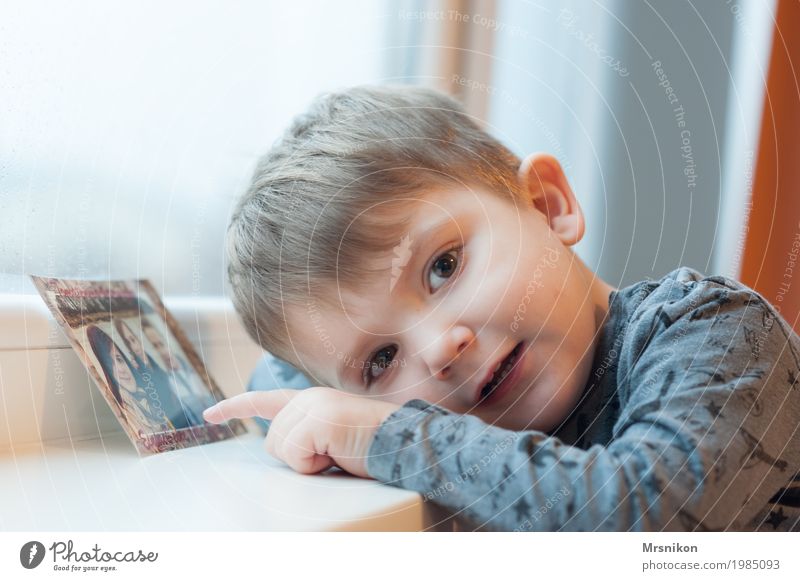 schau mal Freude Glück harmonisch Zufriedenheit Kind Kleinkind Junge Geschwister Bruder Kindheit Leben 1 Mensch 1-3 Jahre beobachten berühren Lächeln Blick