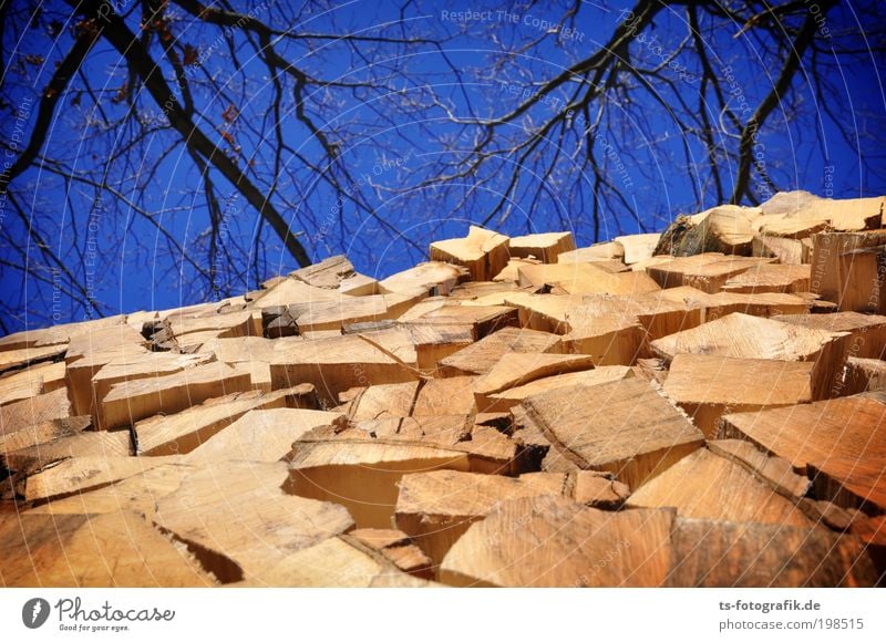 Scheite-Haufen Landwirtschaft Forstwirtschaft Waldarbeiter Säge Sägewerk Axt Umwelt Natur Feuer Luft Himmel Klima Klimawandel Baum Ast Scheiterhaufen Brennholz