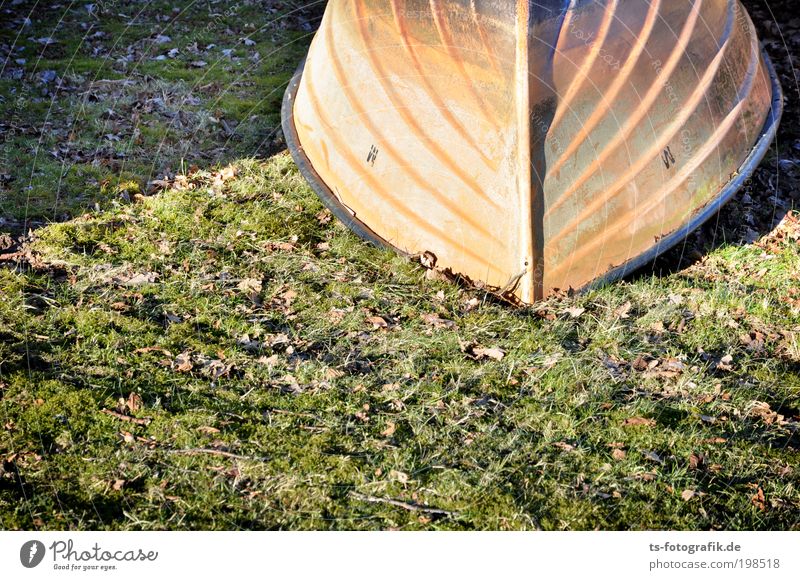 Falschparker Umwelt Natur Urelemente Erde Wasser Sommer Herbst Klima Klimawandel Schönes Wetter Dürre Gras Blatt Küste Strand Meer Bach Fluss Verkehr