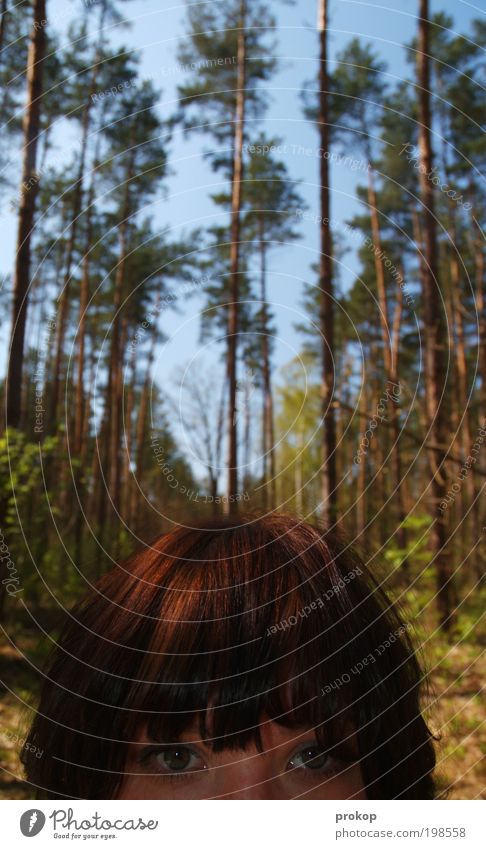 WAS IST WAS? - Die Urzeit Mensch feminin Junge Frau Jugendliche Erwachsene Kopf Haare & Frisuren Auge Umwelt Natur Landschaft Pflanze Himmel Sonne