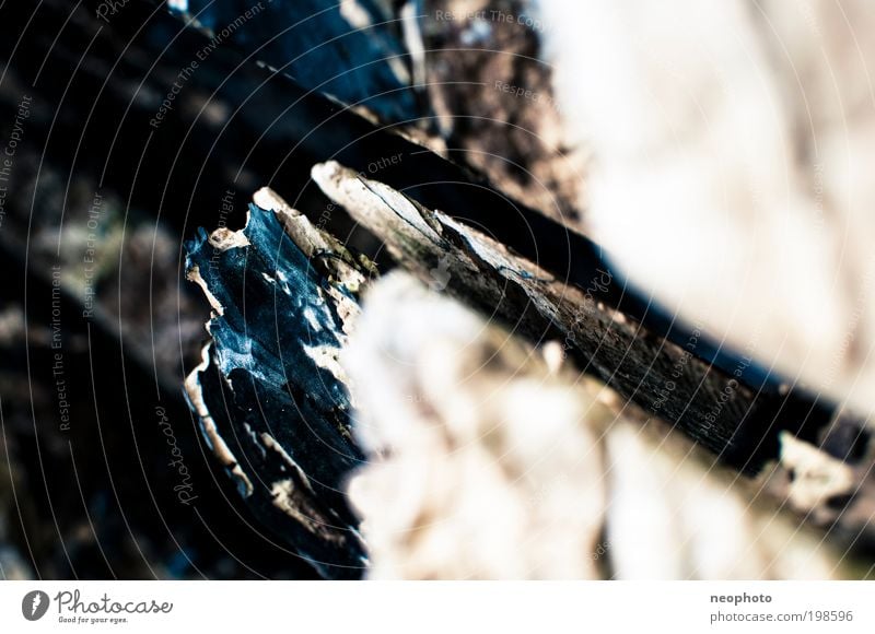 Rohstoff Umwelt Natur Pflanze Baum einfach blau gelb schwarz weiß Holz Splitter alt eckig Farbfoto Detailaufnahme Menschenleer Textfreiraum links