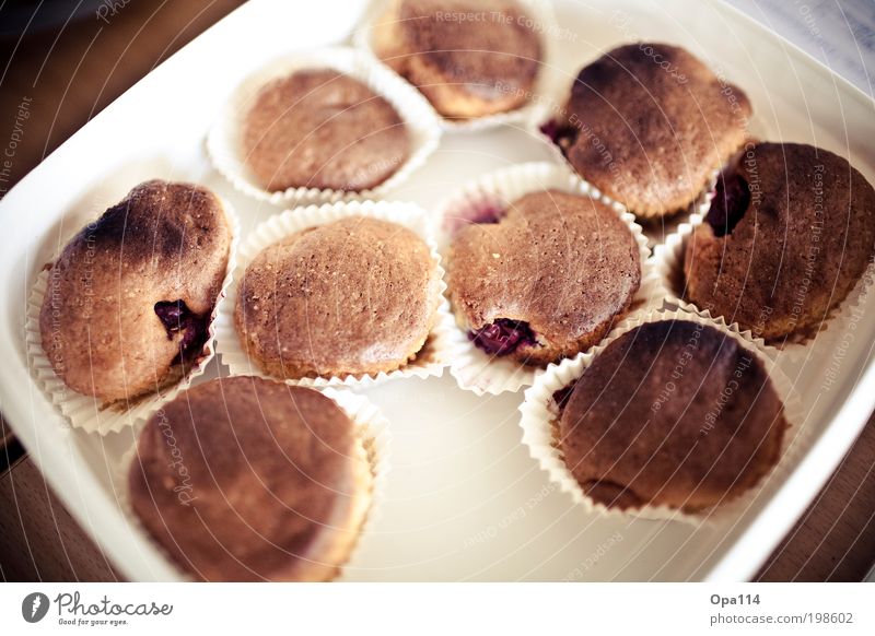 Cookie Monster Lebensmittel Frucht Teigwaren Backwaren Kuchen Süßwaren Ernährung Kaffeetrinken Festessen Fingerfood Duft füttern genießen einfach fantastisch