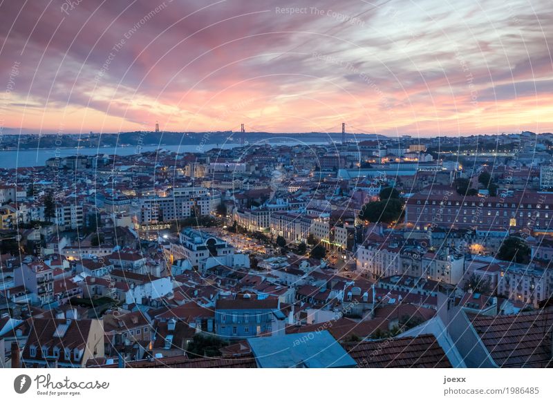 Über den Dächern beim Tejo Lissabon Portugal Hauptstadt Haus Brücke groß hell trendy schön Stadt blau mehrfarbig Tourismus Farbfoto Außenaufnahme Abend