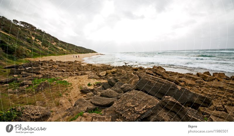 Himmel Ozean Isimagaliso Reserve Natur und Felsen schön Ferien & Urlaub & Reisen Strand Meer Landschaft Pflanze Sand Klima Moos Küste Wege & Pfade schwarz weiß