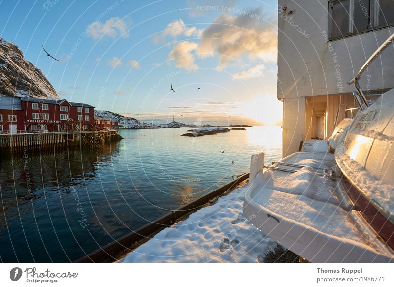 Lofoten Ferien & Urlaub & Reisen Tourismus Ausflug Sightseeing Winter Winterurlaub Natur Landschaft Wasser Himmel Wolken Sonnenaufgang Sonnenuntergang