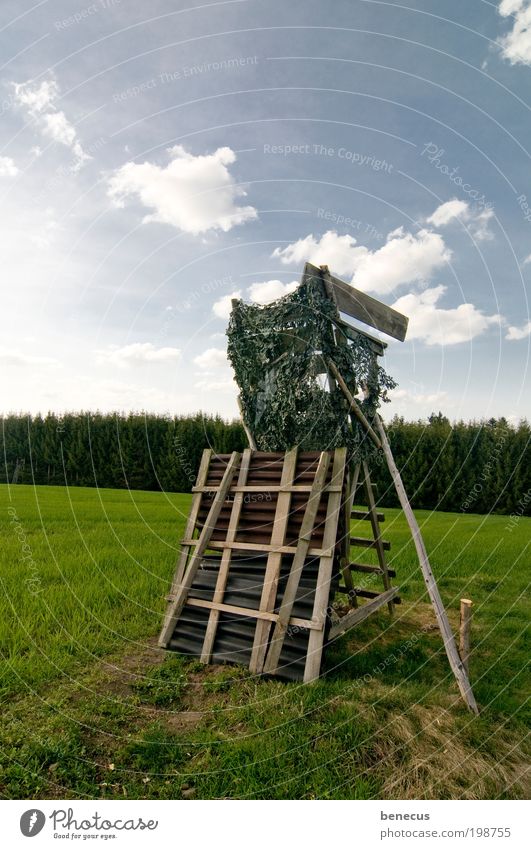 Auf der Pirsch Jagd Natur Landschaft Himmel Wolken Frühling Schönes Wetter Gras Feld beobachten blau grün Wachsamkeit Freizeit & Hobby Hochsitz Forstwald