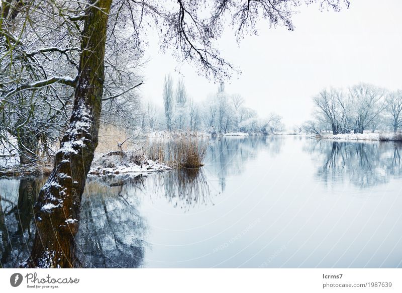 Winter landscape on Havel River (Germany) Ferien & Urlaub & Reisen Natur Wasser Flussufer blau snow river Brandenburg Deutschland Europa snowy sun water