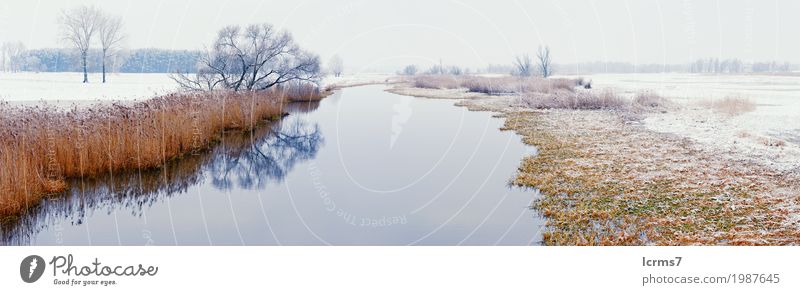 Winter landscape on Havel River (Germany). Havelland Ferien & Urlaub & Reisen Schnee wandern Natur blau braun gelb snow river Brandenburg willow tree