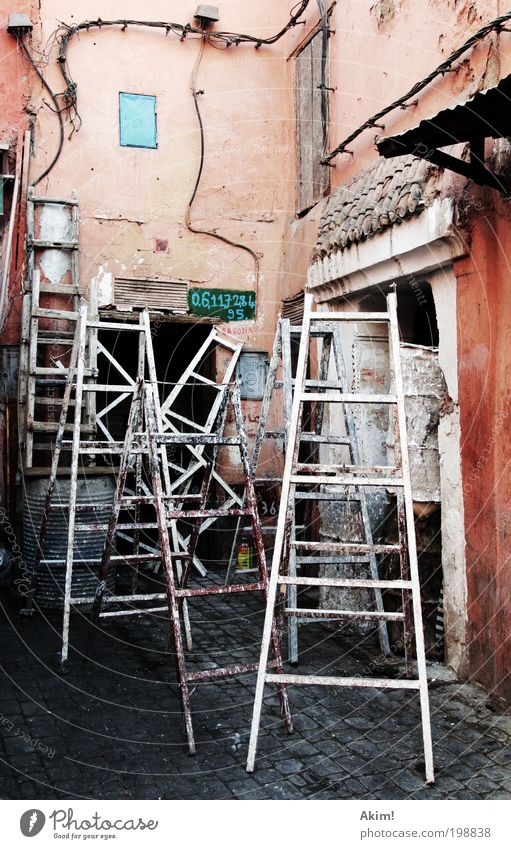 Ladders of fortune Haus Renovieren Umzug (Wohnungswechsel) Berufsausbildung Azubi Arbeit & Erwerbstätigkeit Handwerker Anstreicher Baustelle Kabel Leiter