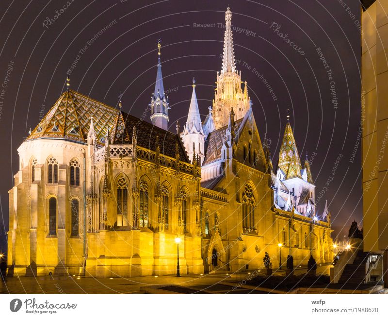 Fisherman's Bastion Ungarn Budapest bei Nacht Tourismus Stadt Architektur historisch Fischerbastei kirche ungarn Beleuchtung schloss Großstadt Donau reisen