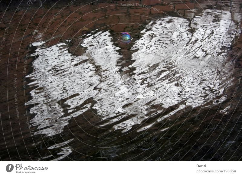 Blasenspiegelung Wasser Wellen Teich See bizarr Surrealismus träumen schillernd regenbogenfarben Oberflächenspannung Vergänglichkeit diffus Farbfoto