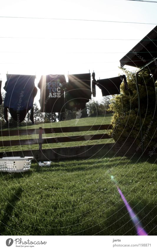 alles frisch Stil Sonne Garten Wiese Bekleidung T-Shirt Sauberkeit Wäsche Wäscheleine Wäschekorb wäsche trocknen Photocase jats Farbfoto Außenaufnahme