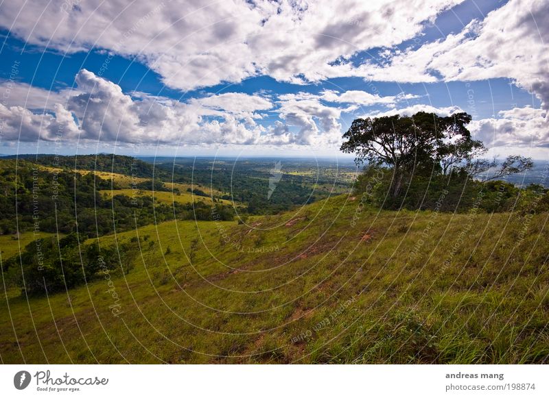 Weites Land Ferien & Urlaub & Reisen Tourismus Ferne Freiheit Safari Expedition Natur Landschaft Himmel Wolken Horizont Baum Gras Park Wald Berge u. Gebirge