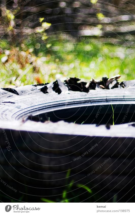 Grashalm Umwelt Natur Pflanze Sommer Schönes Wetter Wärme Sträucher Grünpflanze Wildpflanze Halm Wiese Reifen Autoreifen liegen Wachstum kaputt Spitze grün