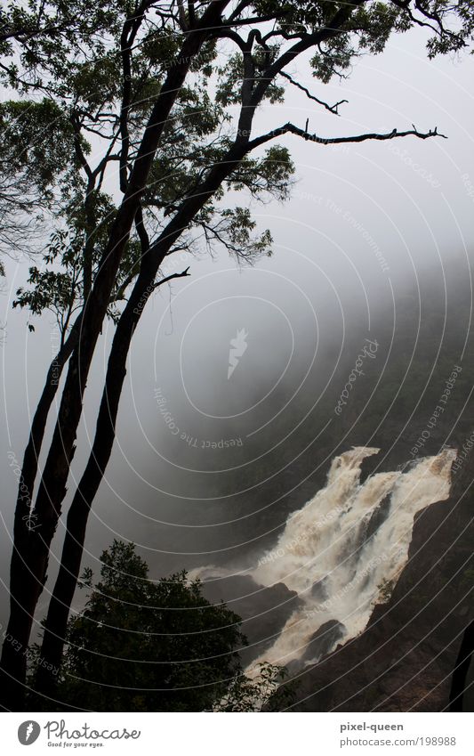 Wasserfall Ferien & Urlaub & Reisen Tourismus Sightseeing Berge u. Gebirge Umwelt Natur Landschaft Wolken Sommer schlechtes Wetter Nebel Baum Wald Urwald blau