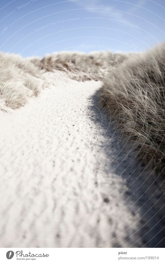 Weg zum Glück Freiheit Sommer Sommerurlaub Strand Meer Natur Landschaft Sand Himmel Schönes Wetter Küste Nordsee Erholung blau braun gelb Freude Vorfreude Düne