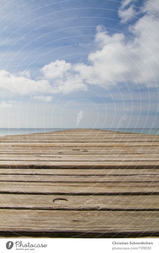 Weg zur See Erholung ruhig Ferien & Urlaub & Reisen Ferne Freiheit Sommer Meer Wasser Wolken Horizont Ostsee Holz träumen Unendlichkeit blau braun Hoffnung