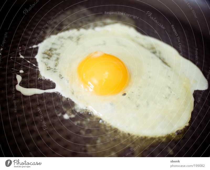 EiEiEi Lebensmittel Ernährung Frühstück Mittagessen Bioprodukte Küche Herd & Backofen Appetit & Hunger lecker Spiegelei Pfanne Butter Farbfoto Innenaufnahme