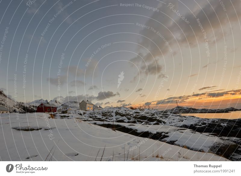 Lofoten Ferien & Urlaub & Reisen Tourismus Ausflug Ferne Freiheit Winter Schnee Winterurlaub Natur Landschaft Himmel Wolken Wetter Schönes Wetter Küste Bucht