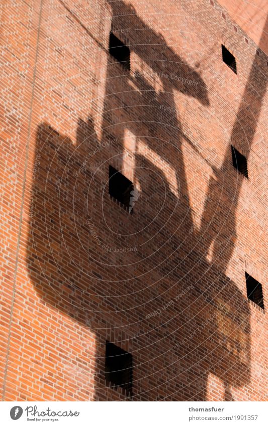 Schatten, Kran, Mauer Kranfahrer Hafen Güterverkehr & Logistik Hamburg Hafenstadt Stadtzentrum Bauwerk Konzerthaus Konzerthalle Elbphilharmonie Wand Fassade