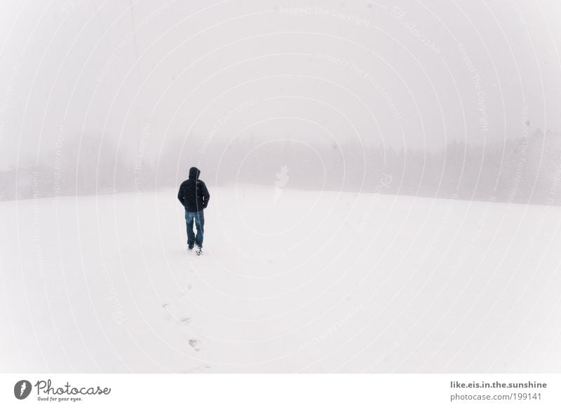 weiss. Wolken Winter schlechtes Wetter Nebel Schnee Traurigkeit Spuren Einsamkeit weiß Denken Liebeskummer ende der welt Spaziergang atmen Gedeckte Farben