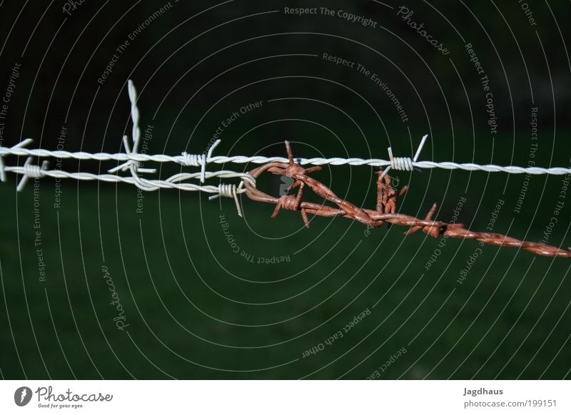 barbwire Paar Feld Tresor Rasierklinge Dekoration & Verzierung Metall Stahl Rost Zeichen Kreuz Knoten Schleife festhalten Jagd kämpfen Traurigkeit Umarmen