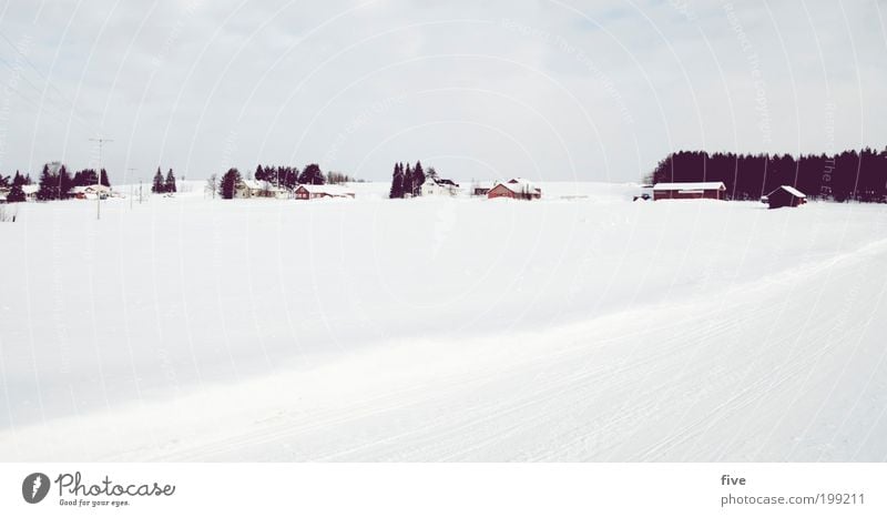 luosto XXIII Ferien & Urlaub & Reisen Tourismus Ausflug Ferne Freiheit Winter Schnee Winterurlaub Häusliches Leben Haus Himmel Wolken Pflanze Baum Wiese Feld