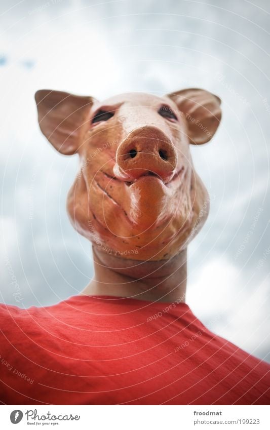 schweinskopfsülze Karneval Halloween maskulin Maske Tier Tiergesicht Schwein trashig Hochmut Übermut skurril Freude verkleiden Schweinerei versaut Ekel gruselig