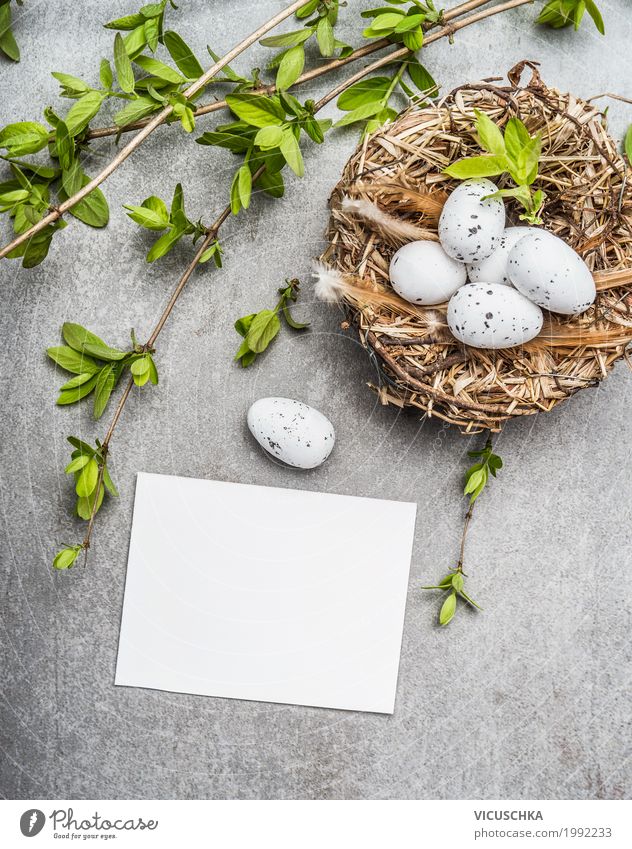 Ostereier im Nest mit Frühlingszweigen und Karte Stil Design Dekoration & Verzierung Feste & Feiern Ostern Natur Sträucher Zeichen Tradition Symbole & Metaphern